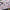 Supermarine Spitfire Mk VIII. Interior 3D Decals (for Tamiya Aircraft model kit) Scale 1:32 KeliK K32039