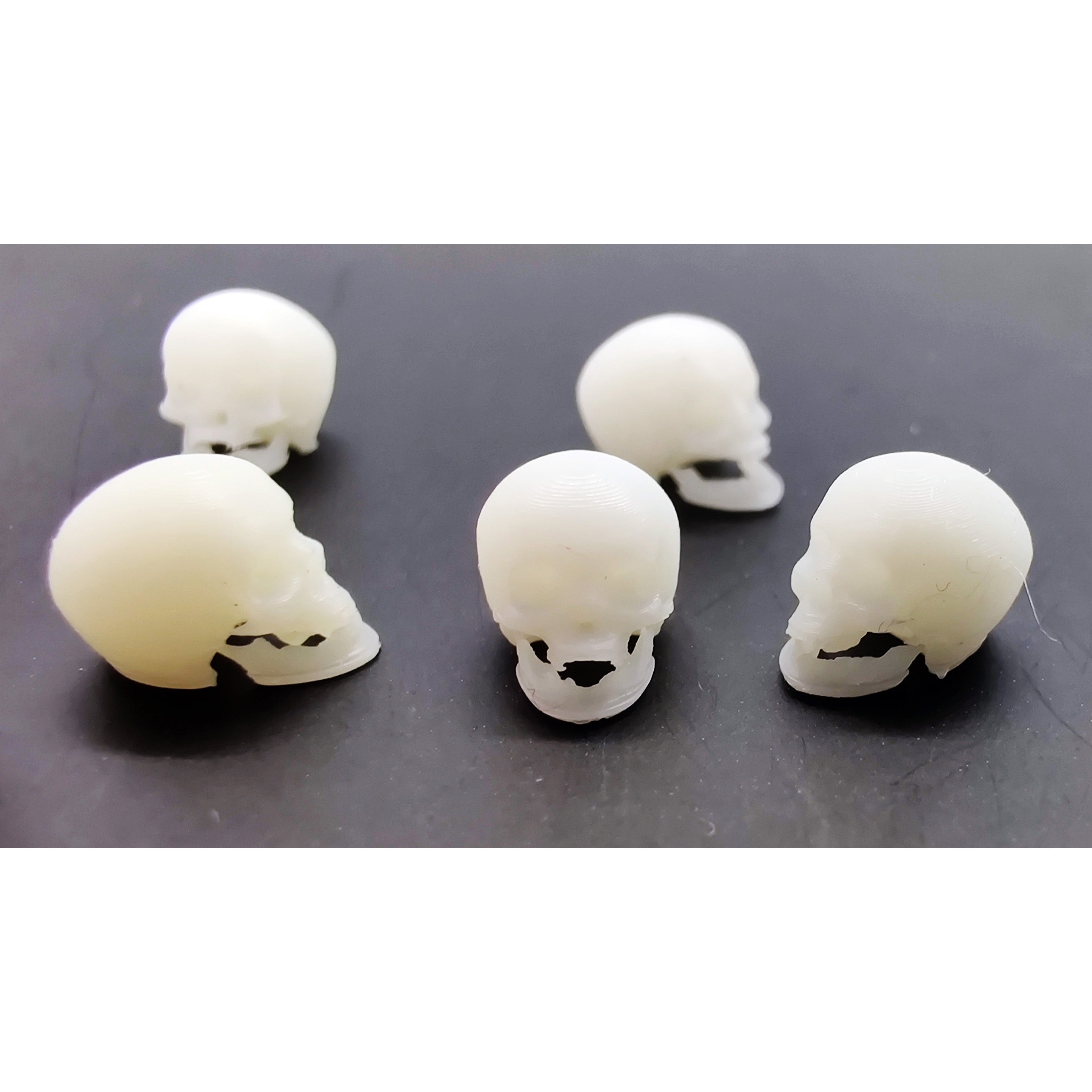 Accessories for diorama, Human skull. Scale 1:35 DAN Models SDM 35003
