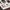 Interior 3D Decals Aircraft Douglas SBD-4 