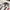 Interior 3D Decals Northrop F-5B Freedom Fighter (for Kinetic Model Kit) Scale 1:48 KeliK K48041 USA