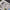 IAR.81c. Interior 3D Decals (for IBG Models Aircraft model kit) Scale 1:72 KeliK K72143