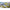 Yakovlev Yak-18 Soviet primary trainer aircraft Scale 1:72 Amodel AMO72218 Plastic Airplane Model Kit