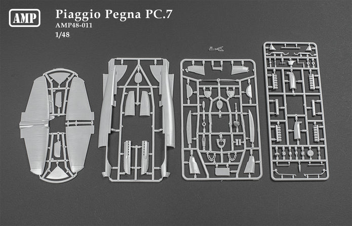 Piaggio Pegna PC.7 Scale 1:48 AMP 48011 Plastic Model Aircraft Kit