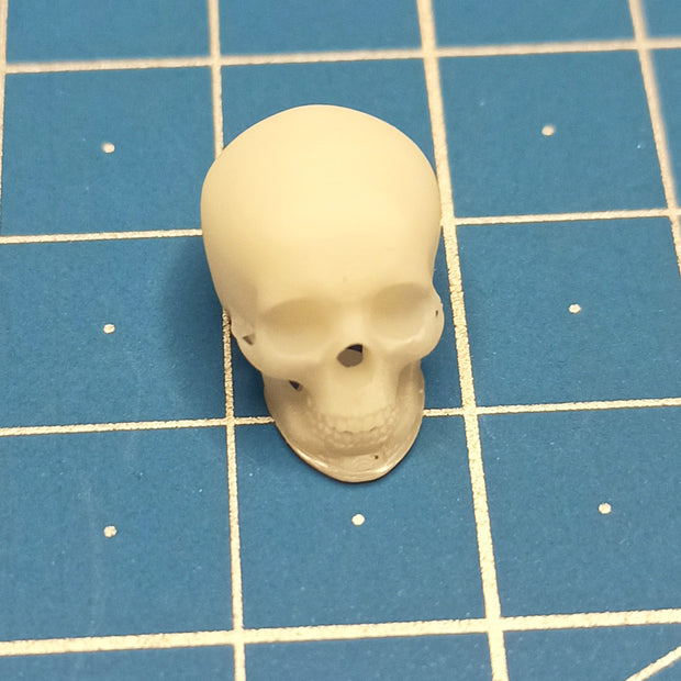 Human skulls. 4 pieces Scale 1:16 DAN Models DM 16003