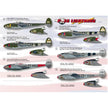 Print Scale 48-036 Decal P-38 Lightning Part 1 Scale 1:48 for Aircraft Plastic model kit