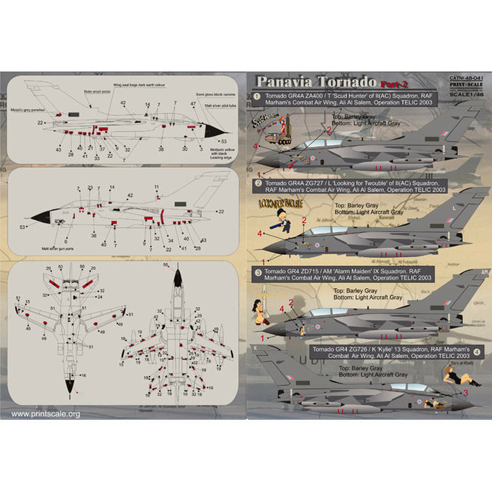 Print Scale 48-041 Decal Panavia Tornado Part 2 The complete set 2 leaf Scale 1:48 for Aircraft Plastic model kit