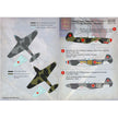 Print Scale 48-056 Decal Victory aces regiment 