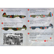 Print Scale 48-056 Decal Victory aces regiment 