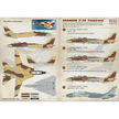 Print Scale 48-117 Decal Iranian Tomcat F-14. The complete set 2 leaf Scale 1:48 for Aircraft Plastic model kit