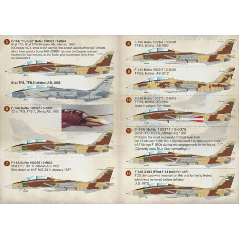 Print Scale 48-117 Decal Iranian Tomcat F-14. The complete set 2 leaf Scale 1:48 for Aircraft Plastic model kit