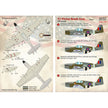 Print Scale 48-132 Decal P-51 Mustang V1 Flying Bomb Aces Part 1 Scale 1:48 for Aircraft Plastic model kit