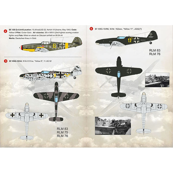 Print Scale 48-162 Decal 1:48 BF 109 G High Altitude Aces for Aircraft Plastic model kit
