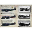 Print Scale 72-067 Decal F-82 Twin Mustang Scale 1:72 for Aircraft Plastic model kit