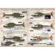 Print Scale 72-070 Decal OH-58 KIOWA Helicopter Scale 1:72 for Helicopter Plastic model kit