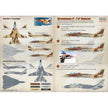 Print Scale 72-211 Decal Iranian F-14 Tomcat The complete set 2 leaf Scale 1:72 for Aircraft Plastic model kit