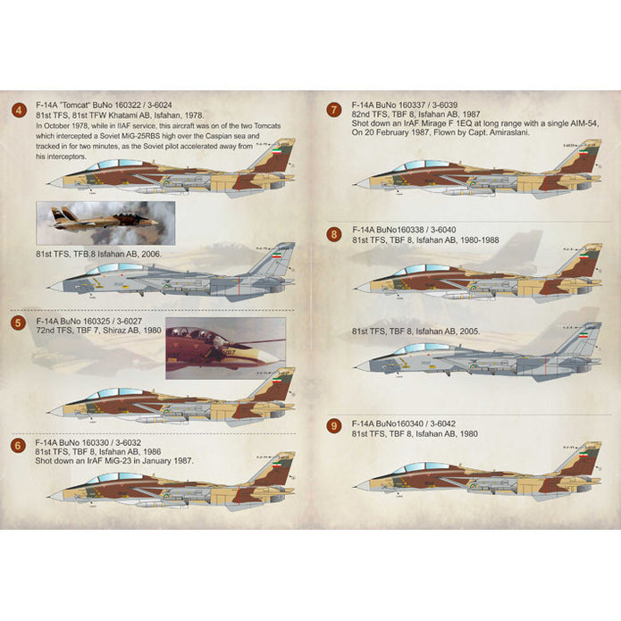 Print Scale 72-211 Decal Iranian F-14 Tomcat The complete set 2 leaf Scale 1:72 for Aircraft Plastic model kit
