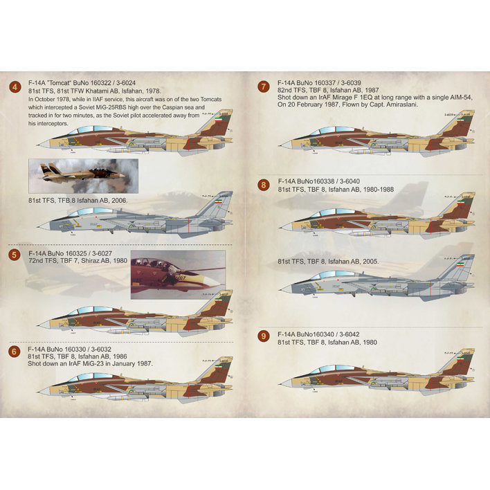 Print Scale 72-211 Decal Iranian F-14 Tomcat The complete set 2 leaf Scale 1:72 for Aircraft Plastic model kit