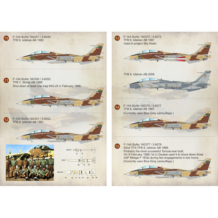 Print Scale 72-211 Decal Iranian F-14 Tomcat The complete set 2 leaf Scale 1:72 for Aircraft Plastic model kit