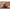ICM 24006 Plastic figures model kit Scale 1:24 American Fire Truck Crew (1910s)