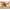 ICM 32025 model aircraft kit 1:32 CR. 42 Falco + Italian Pilots tropical uniform