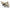 ICM 32040 Plastic model aircraft kit Biplane Scale 1:32 Gloster Gladiator Mk.1