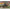 ICM 35138 Scale models car kit 1:35 Unimog S 404 German Military Ambulance