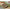 ICM 35337 Plastic model kit Scale 1:35 FCM 36 French Light Tank - German service