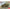 ICM 35593 Plastic model Truck kit Scale 1:35 WWII Army Truck G7107 - kits models