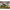ICM 35596 Plastic model kit Scale 1:35 BM-13-16  G7107 chassis with Soviet crew