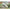 ICM 72185 Plastic model kit Scale 1:72 OV-10А Bronco US Attack Aircraft