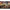ICM DS3505 Plastic model kit 1:35 The Battle of Kursk (July 1943) with T-34-76
