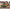 ICM DS3506 model kit 1:35 Battle of Berlin April 1945 T-34-85, King Tiger 2inbox