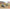 ‘Sankas’ WWII Wehrmacht Ambulance Trucks Plastic Model Kit Scale 1:35 ICM DS3523