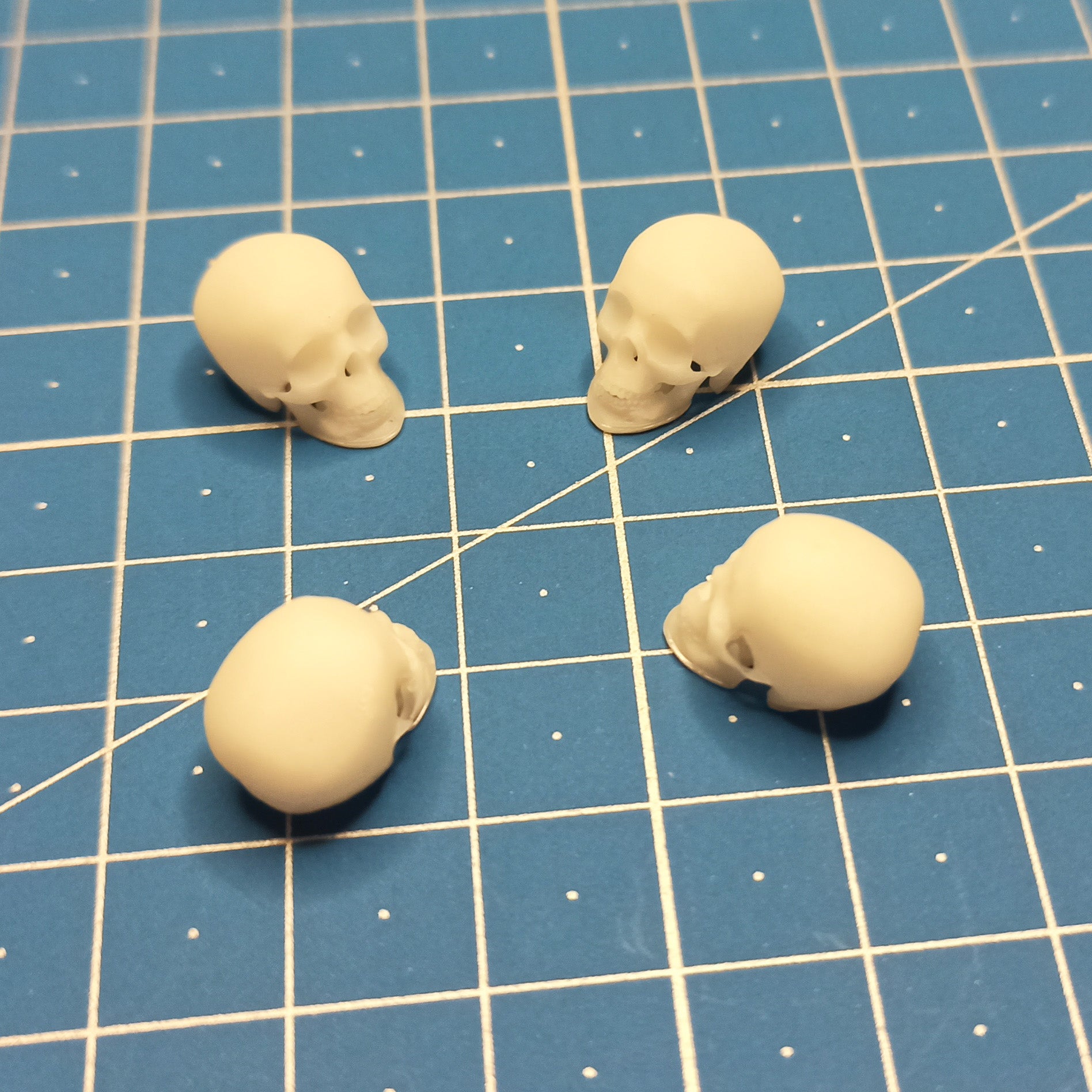 Human skulls. 4 pieces Scale 1:16 DAN Models DM 16003