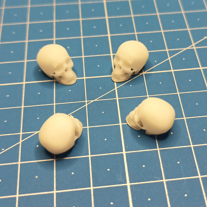 Human skulls. 4 pieces Scale 1:16 DAN Models DM 16003