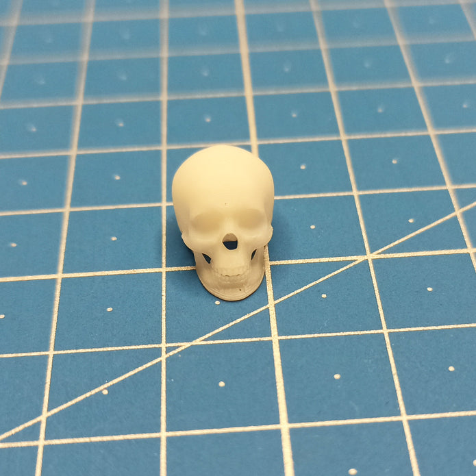 Human skulls. 4 pieces Scale 1:16 DAN Models DM 16003