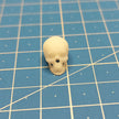 Human skulls. 4 pieces Scale 1:16 DAN Models DM 16003