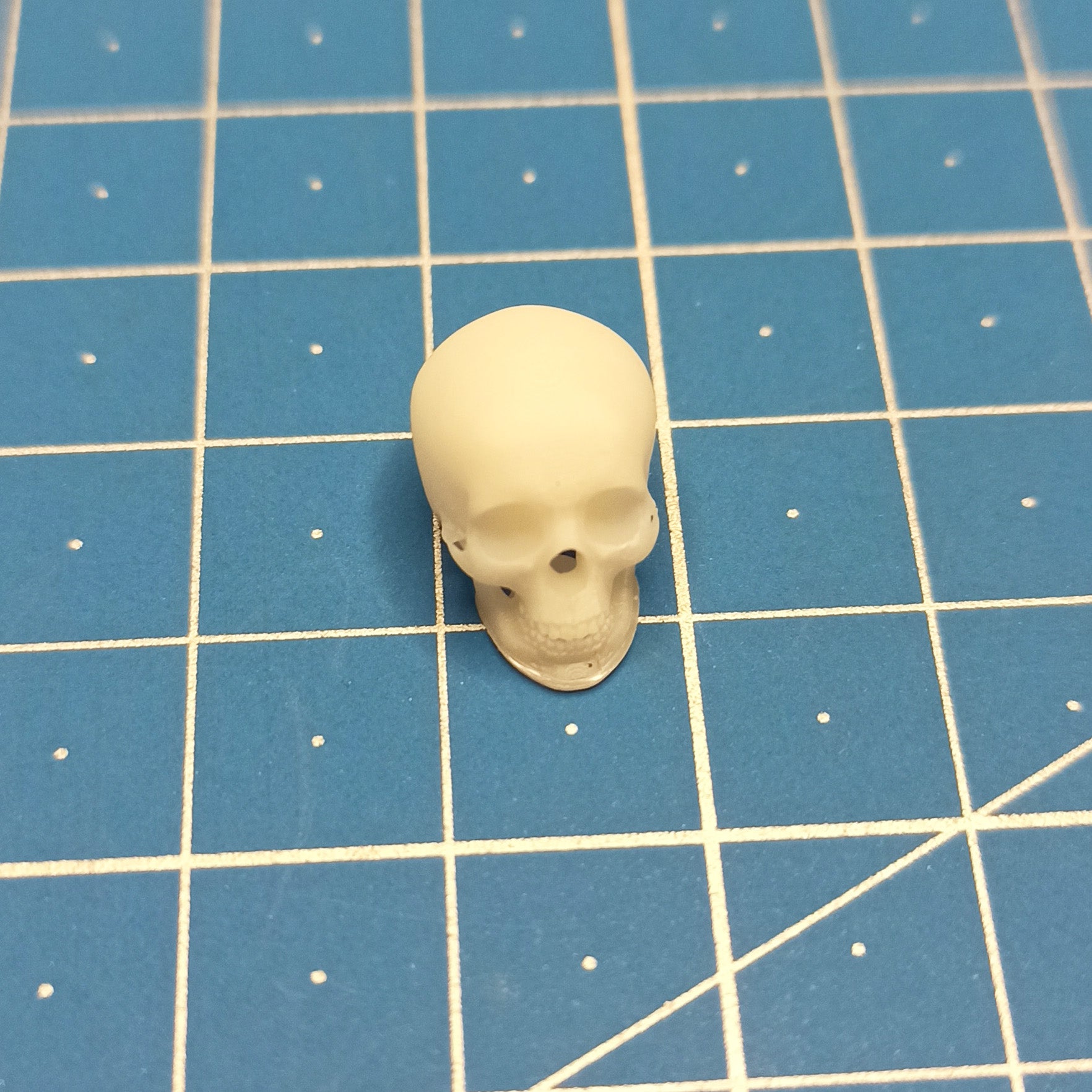 Human skulls. 4 pieces Scale 1:16 DAN Models DM 16003