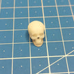 Human skulls. 4 pieces Scale 1:16 DAN Models DM 16003
