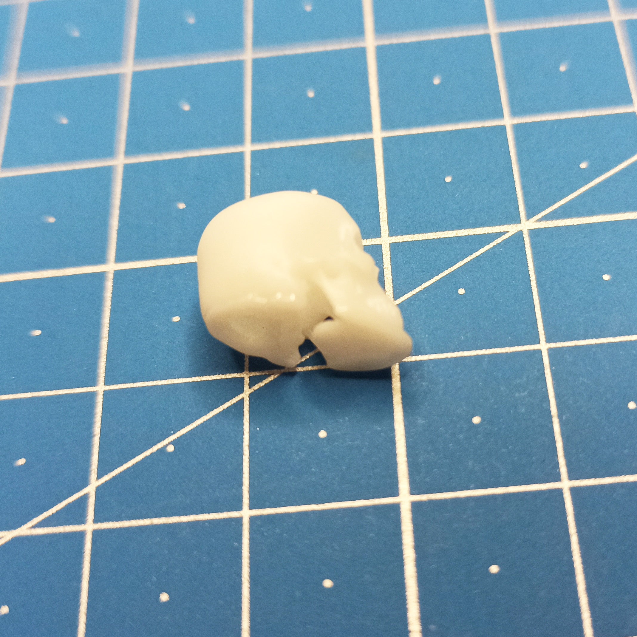 Human skulls. 4 pieces Scale 1:16 DAN Models DM 16003