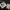 3D Decals Aircraft Douglas SBD-3 