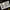 3D Decals Aircraft Douglas SBD-3 