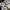 3D Decal Interior Grumman F-14D Super Tomcat (for Trumpeter plastic model kit) Scale 1:32 KeliK K32014 USA