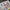Mirage 2000C. Interior 3D Decals (for Kitty Hawk / Zimimodel Aircraft model kit) Scale 1:32 KeliK K32024