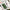 3D Decals Interior Helicopters Sikorsky SH-60F Ocean Hawk (for Kitty Hawk / Zimimodel plastic model kit) Scale 1:35 KeliK K35012 USA