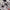 Interior 3D Decals Aircraft Republic P-47D Thunderbolt Razorback (for Tamiya Plastic Model Kit) Scale 1:48 KeliK K48015 USA (WW2)