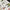 McDonnell Douglas F-4G Phantom II Interior 3D Decals (for Meng Plastic Model Kit) KeliK K48056 Scale 1:48 USA