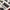 3D Decals Interior Aircraft Grumman F-14D Tomcat (for Tamiya Plastic Model Kit) Scale 1:48 KeliK K48063 USA