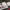 3D Decals Interior Aircraft Grumman F-14D Tomcat (for AMK Plastic Model Kit) Scale 1:48 KeliK K48064 USA