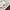 3D Decals Interior Aircraft Grumman F-14D Tomcat (for AMK Plastic Model Kit) Scale 1:48 KeliK K48064 USA